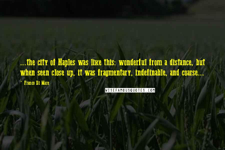 Franco Di Mare Quotes: ...the city of Naples was like this: wonderful from a distance, but when seen close up, it was fragmentary, indefinable, and coarse...