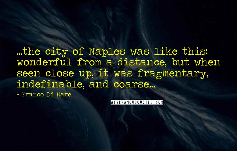 Franco Di Mare Quotes: ...the city of Naples was like this: wonderful from a distance, but when seen close up, it was fragmentary, indefinable, and coarse...