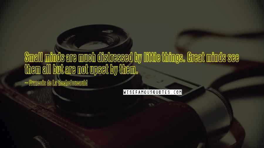 Francois De La Rochefoucauld Quotes: Small minds are much distressed by little things. Great minds see them all but are not upset by them.