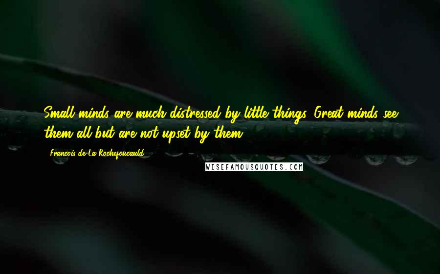 Francois De La Rochefoucauld Quotes: Small minds are much distressed by little things. Great minds see them all but are not upset by them.