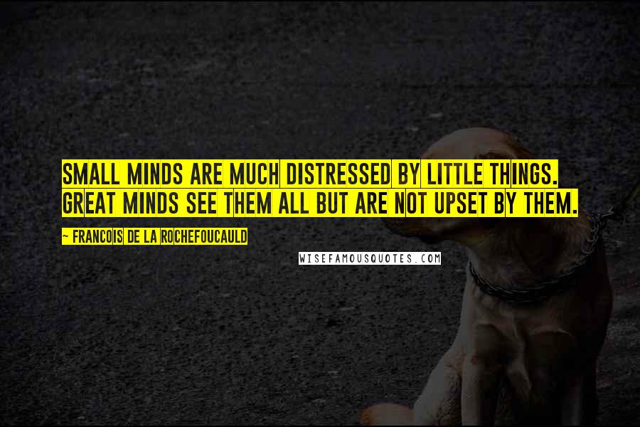 Francois De La Rochefoucauld Quotes: Small minds are much distressed by little things. Great minds see them all but are not upset by them.