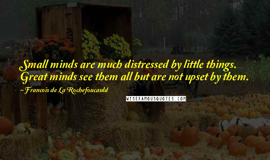 Francois De La Rochefoucauld Quotes: Small minds are much distressed by little things. Great minds see them all but are not upset by them.