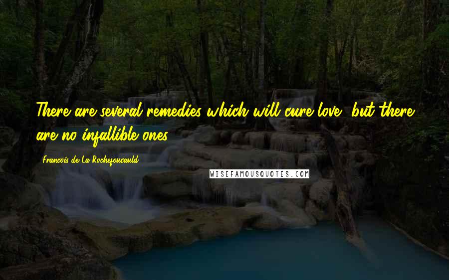 Francois De La Rochefoucauld Quotes: There are several remedies which will cure love, but there are no infallible ones.