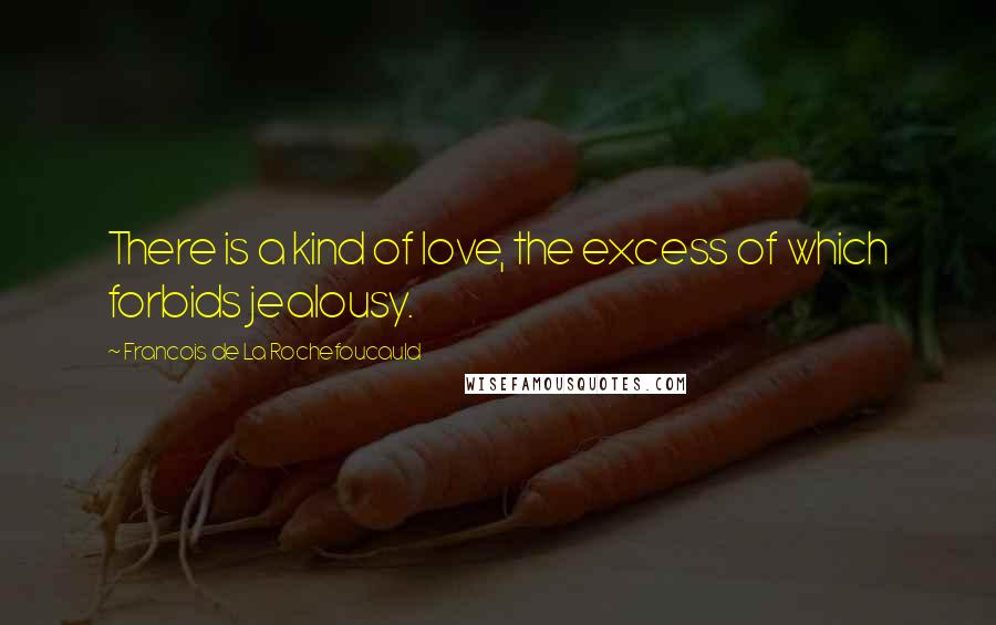 Francois De La Rochefoucauld Quotes: There is a kind of love, the excess of which forbids jealousy.