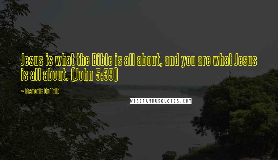 Francois Du Toit Quotes: Jesus is what the Bible is all about, and you are what Jesus is all about. (John 5:39)