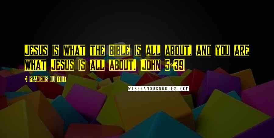 Francois Du Toit Quotes: Jesus is what the Bible is all about, and you are what Jesus is all about. (John 5:39)