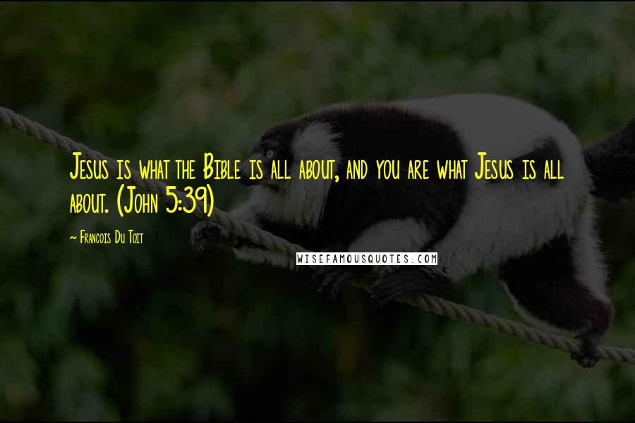 Francois Du Toit Quotes: Jesus is what the Bible is all about, and you are what Jesus is all about. (John 5:39)