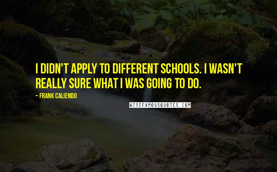 Frank Caliendo Quotes: I didn't apply to different schools. I wasn't really sure what I was going to do.