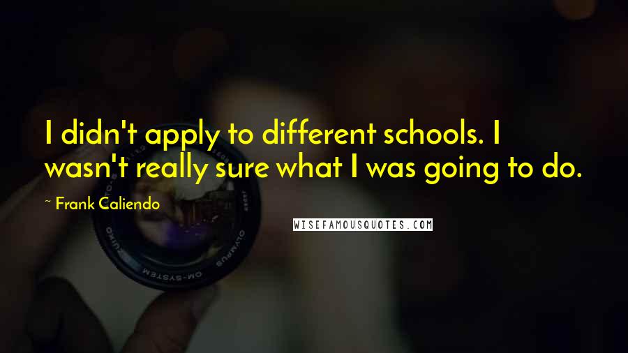 Frank Caliendo Quotes: I didn't apply to different schools. I wasn't really sure what I was going to do.