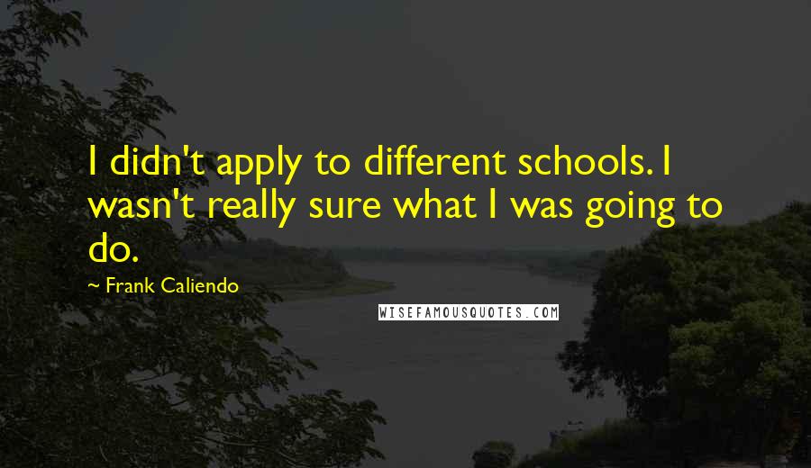 Frank Caliendo Quotes: I didn't apply to different schools. I wasn't really sure what I was going to do.