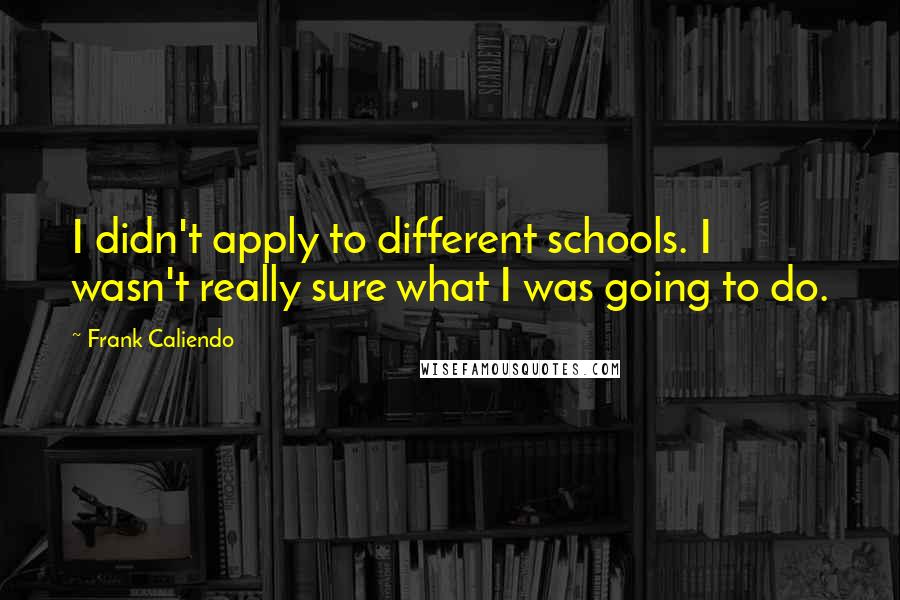 Frank Caliendo Quotes: I didn't apply to different schools. I wasn't really sure what I was going to do.