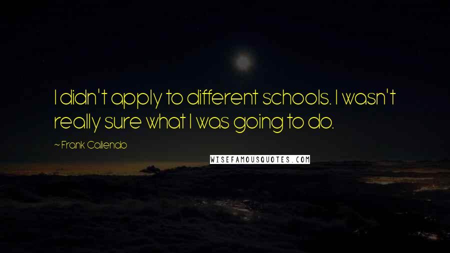 Frank Caliendo Quotes: I didn't apply to different schools. I wasn't really sure what I was going to do.