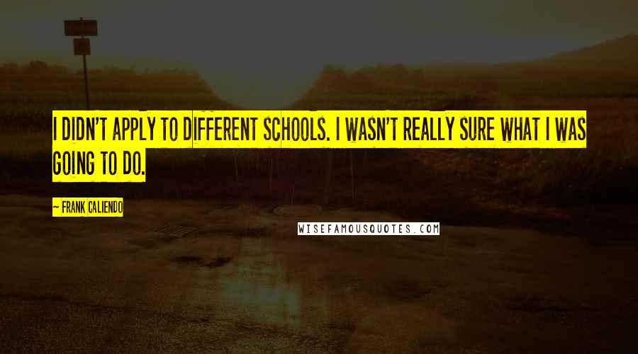 Frank Caliendo Quotes: I didn't apply to different schools. I wasn't really sure what I was going to do.