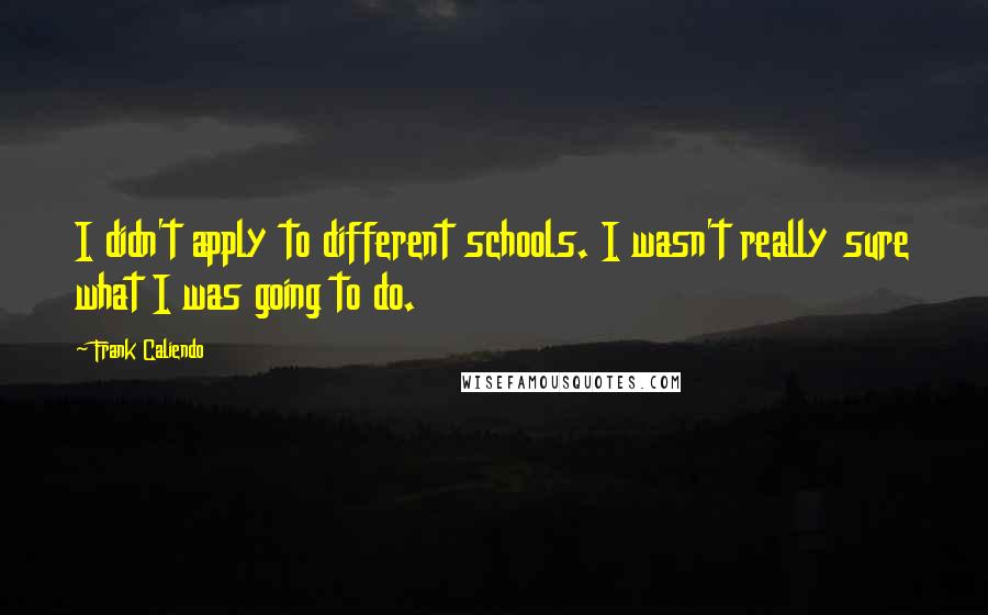 Frank Caliendo Quotes: I didn't apply to different schools. I wasn't really sure what I was going to do.