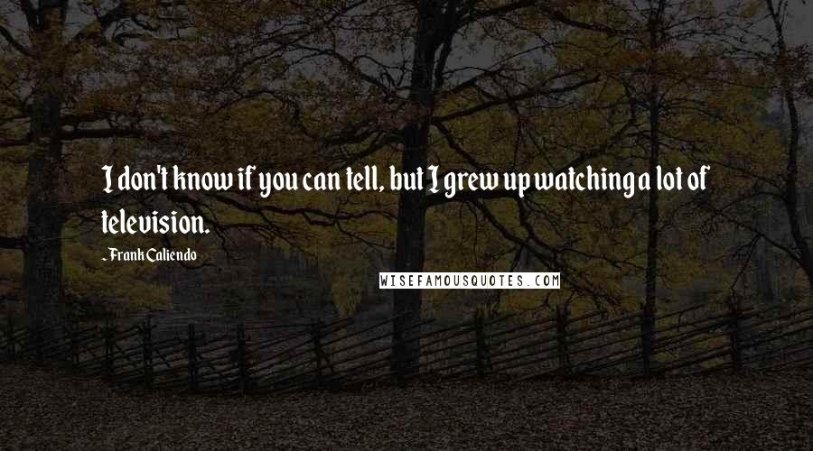 Frank Caliendo Quotes: I don't know if you can tell, but I grew up watching a lot of television.