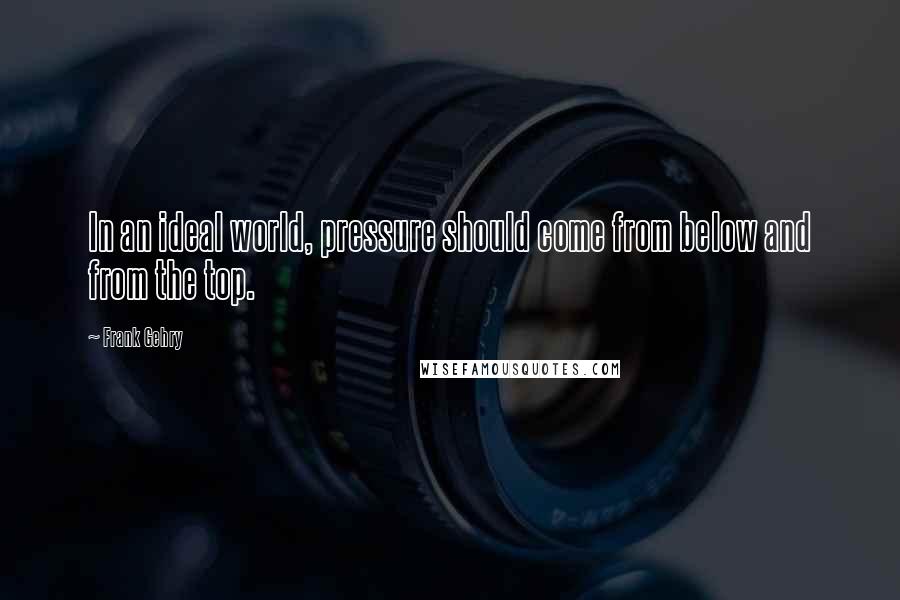 Frank Gehry Quotes: In an ideal world, pressure should come from below and from the top.