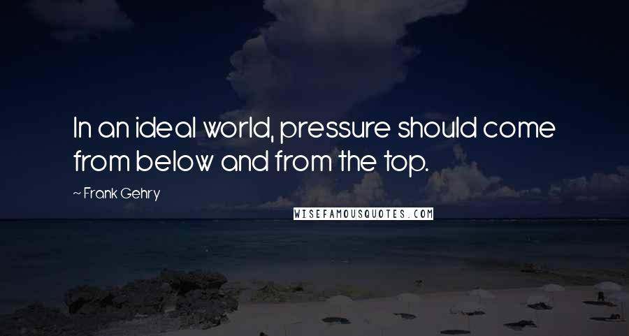 Frank Gehry Quotes: In an ideal world, pressure should come from below and from the top.