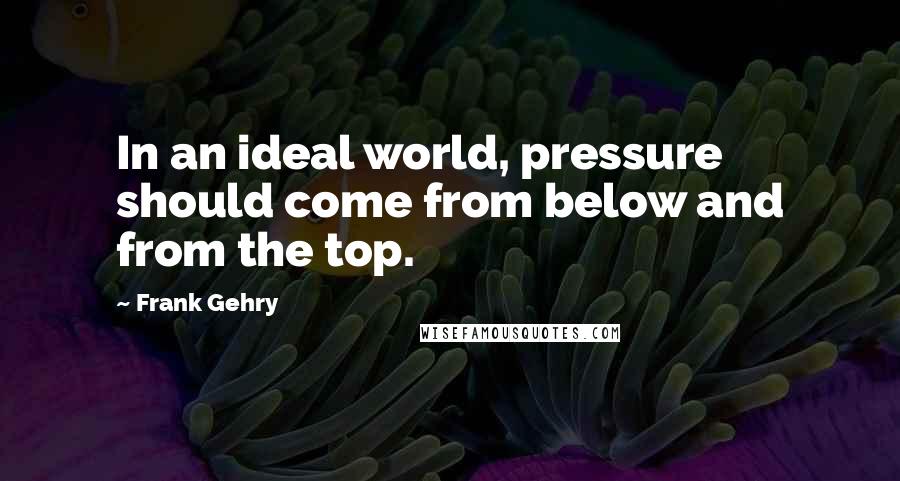 Frank Gehry Quotes: In an ideal world, pressure should come from below and from the top.
