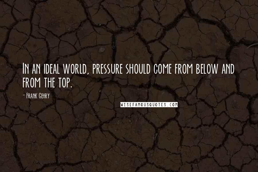 Frank Gehry Quotes: In an ideal world, pressure should come from below and from the top.