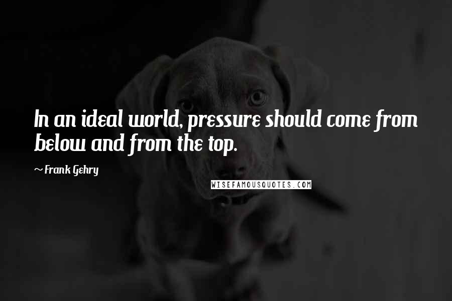 Frank Gehry Quotes: In an ideal world, pressure should come from below and from the top.