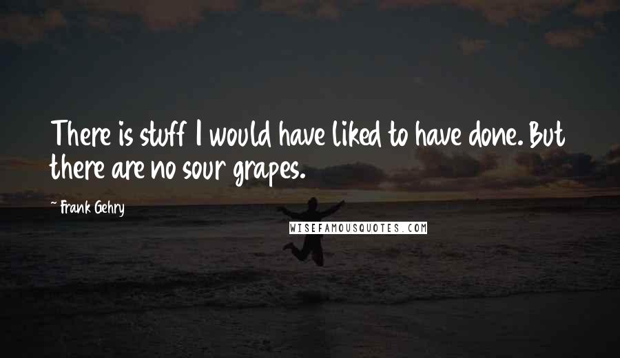 Frank Gehry Quotes: There is stuff I would have liked to have done. But there are no sour grapes.
