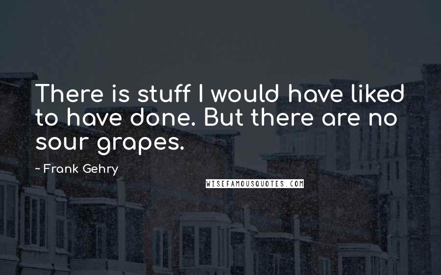 Frank Gehry Quotes: There is stuff I would have liked to have done. But there are no sour grapes.