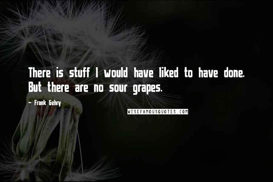 Frank Gehry Quotes: There is stuff I would have liked to have done. But there are no sour grapes.