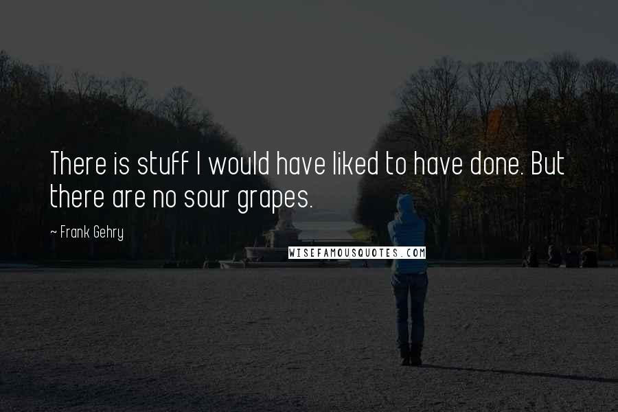 Frank Gehry Quotes: There is stuff I would have liked to have done. But there are no sour grapes.