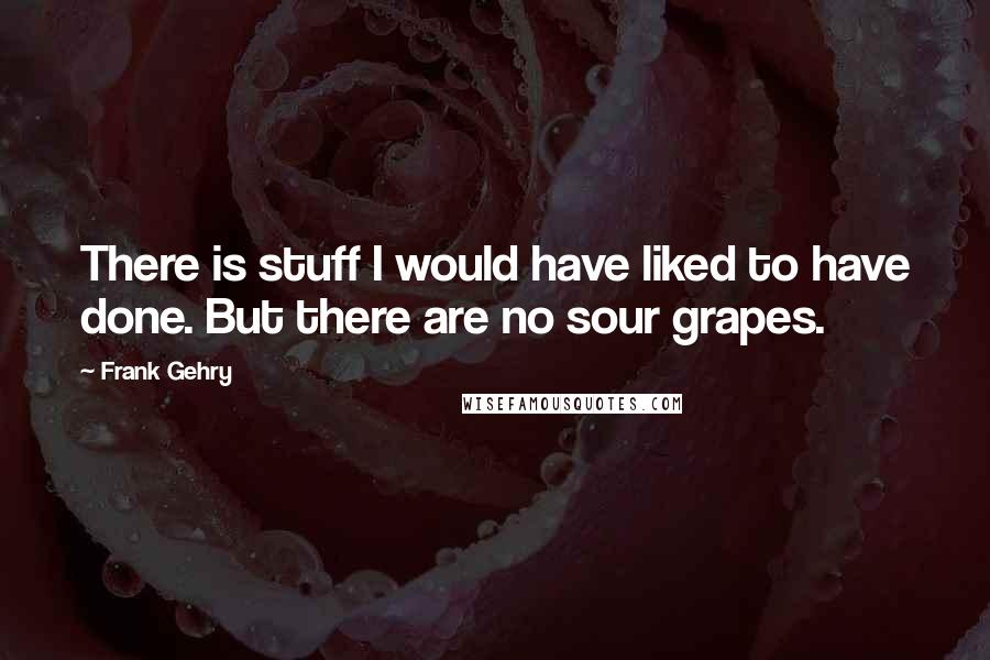 Frank Gehry Quotes: There is stuff I would have liked to have done. But there are no sour grapes.