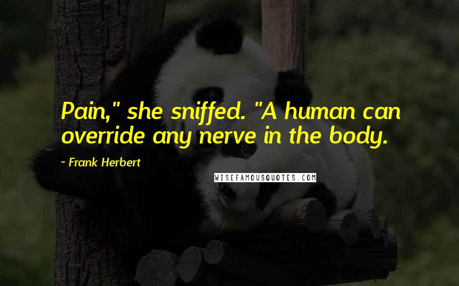 Frank Herbert Quotes: Pain," she sniffed. "A human can override any nerve in the body.