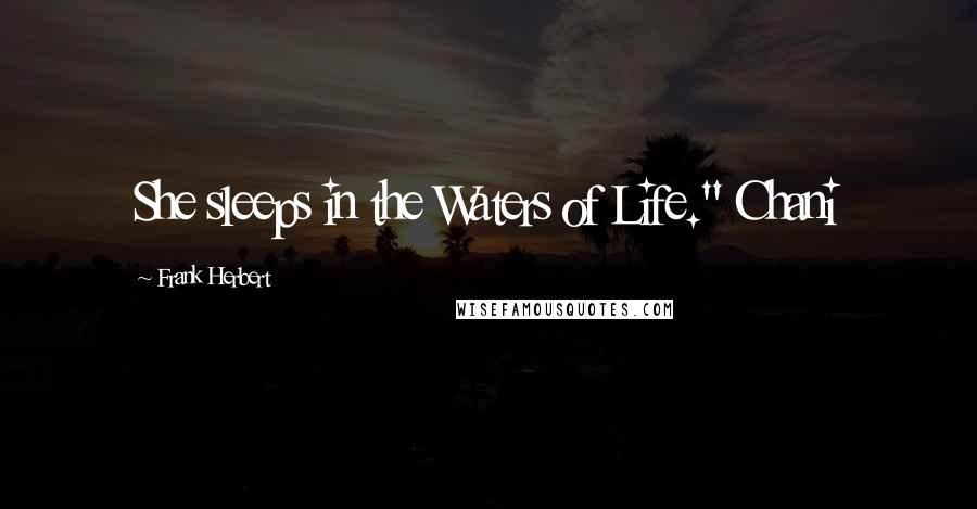 Frank Herbert Quotes: She sleeps in the Waters of Life." Chani