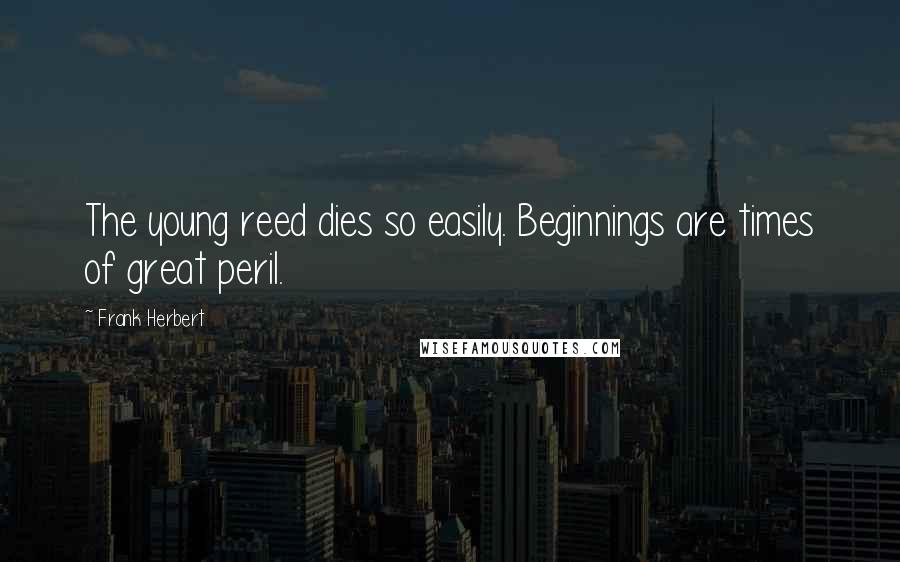 Frank Herbert Quotes: The young reed dies so easily. Beginnings are times of great peril.