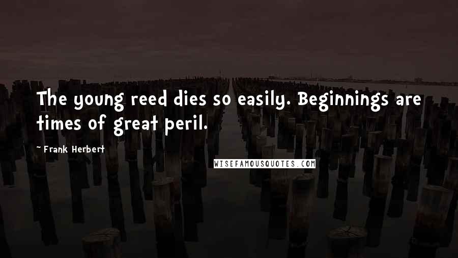 Frank Herbert Quotes: The young reed dies so easily. Beginnings are times of great peril.