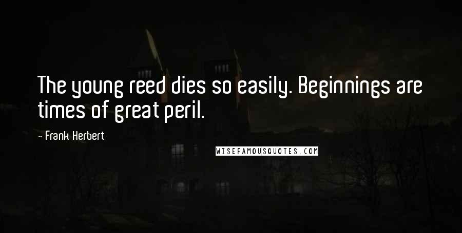 Frank Herbert Quotes: The young reed dies so easily. Beginnings are times of great peril.