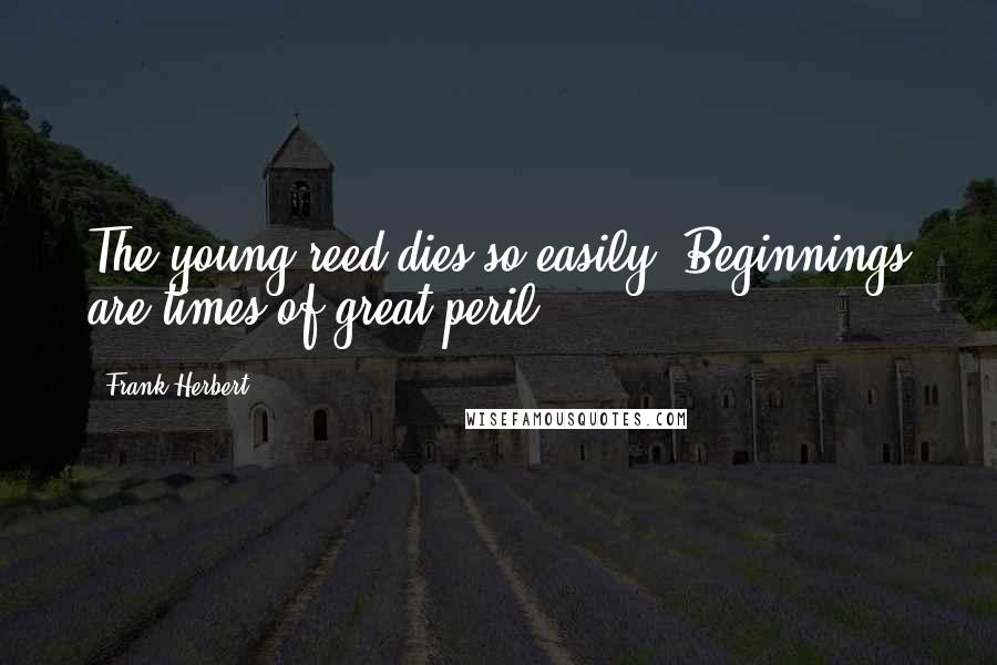 Frank Herbert Quotes: The young reed dies so easily. Beginnings are times of great peril.