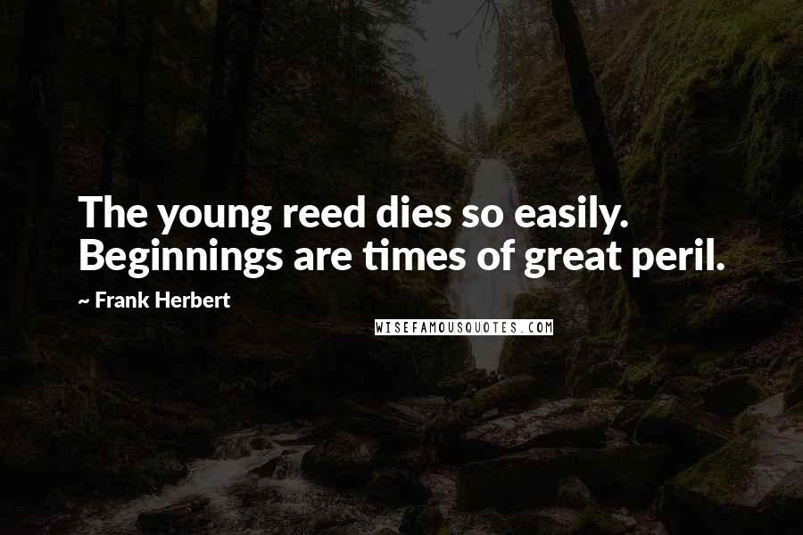 Frank Herbert Quotes: The young reed dies so easily. Beginnings are times of great peril.