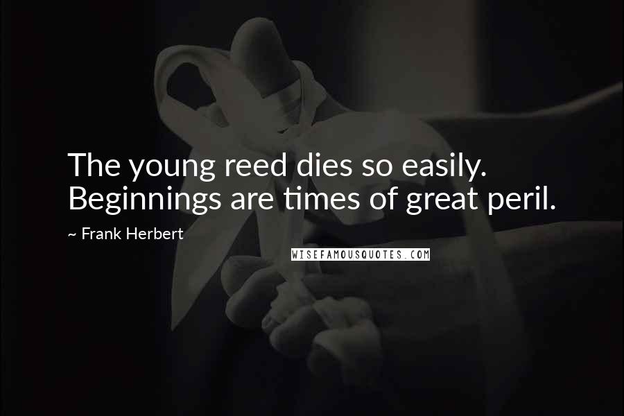 Frank Herbert Quotes: The young reed dies so easily. Beginnings are times of great peril.
