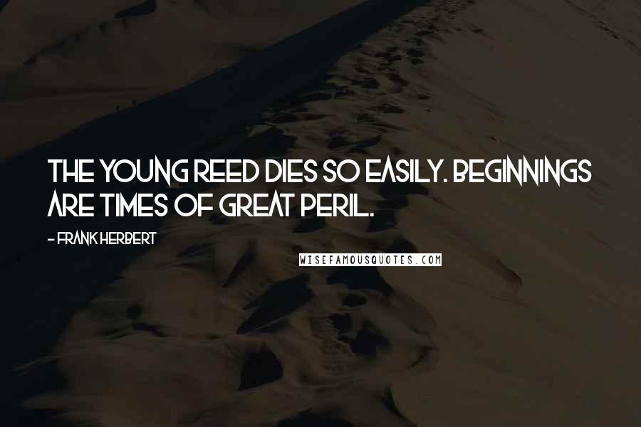 Frank Herbert Quotes: The young reed dies so easily. Beginnings are times of great peril.