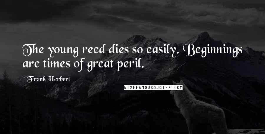 Frank Herbert Quotes: The young reed dies so easily. Beginnings are times of great peril.