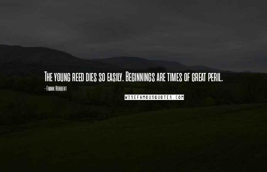 Frank Herbert Quotes: The young reed dies so easily. Beginnings are times of great peril.