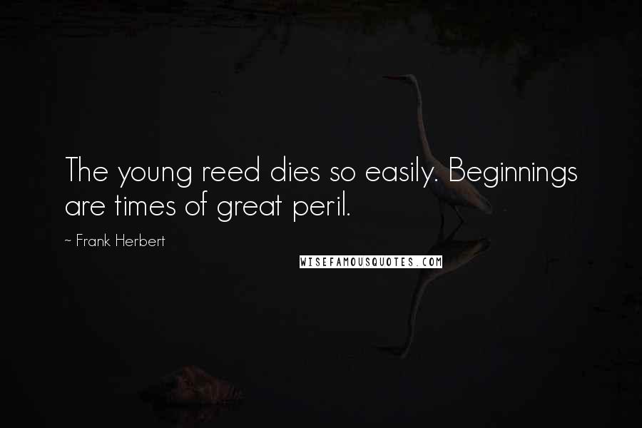 Frank Herbert Quotes: The young reed dies so easily. Beginnings are times of great peril.