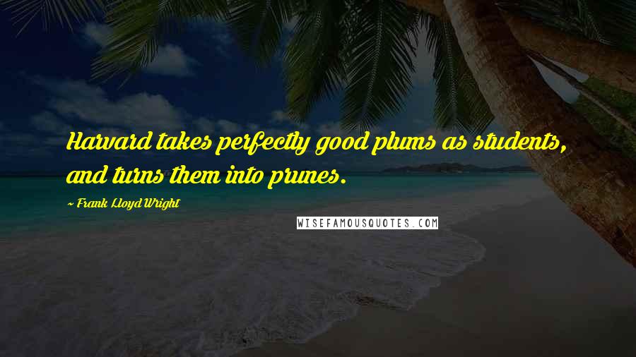 Frank Lloyd Wright Quotes: Harvard takes perfectly good plums as students, and turns them into prunes.