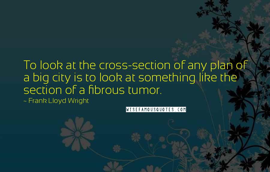 Frank Lloyd Wright Quotes: To look at the cross-section of any plan of a big city is to look at something like the section of a fibrous tumor.