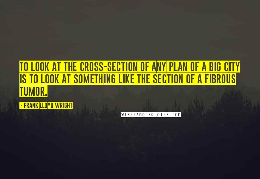 Frank Lloyd Wright Quotes: To look at the cross-section of any plan of a big city is to look at something like the section of a fibrous tumor.