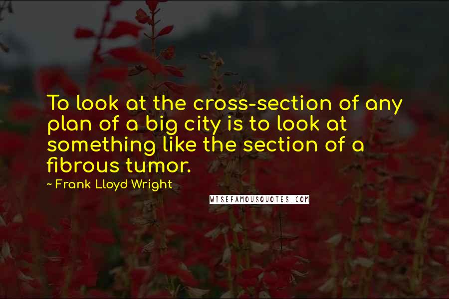 Frank Lloyd Wright Quotes: To look at the cross-section of any plan of a big city is to look at something like the section of a fibrous tumor.