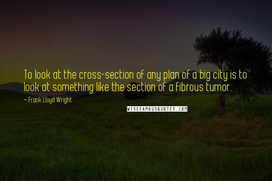 Frank Lloyd Wright Quotes: To look at the cross-section of any plan of a big city is to look at something like the section of a fibrous tumor.