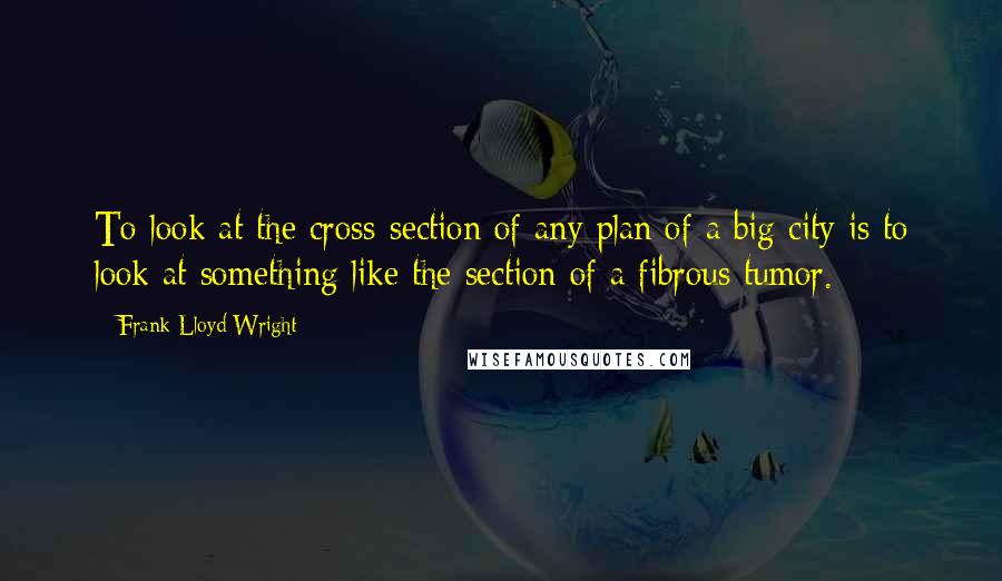 Frank Lloyd Wright Quotes: To look at the cross-section of any plan of a big city is to look at something like the section of a fibrous tumor.