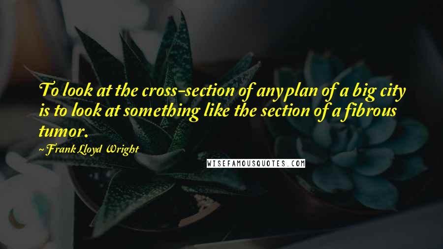 Frank Lloyd Wright Quotes: To look at the cross-section of any plan of a big city is to look at something like the section of a fibrous tumor.