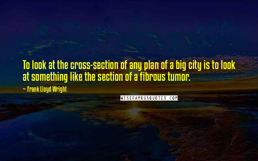 Frank Lloyd Wright Quotes: To look at the cross-section of any plan of a big city is to look at something like the section of a fibrous tumor.