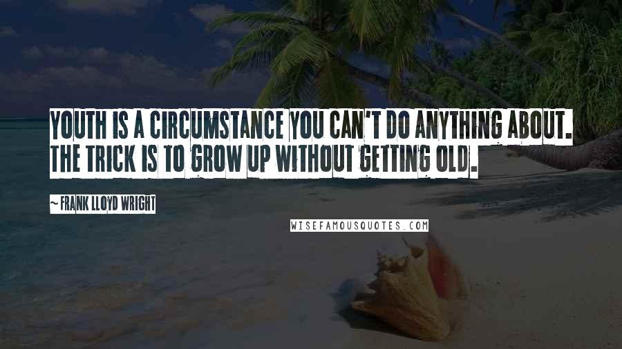 Frank Lloyd Wright Quotes: Youth is a circumstance you can't do anything about. The trick is to grow up without getting old.